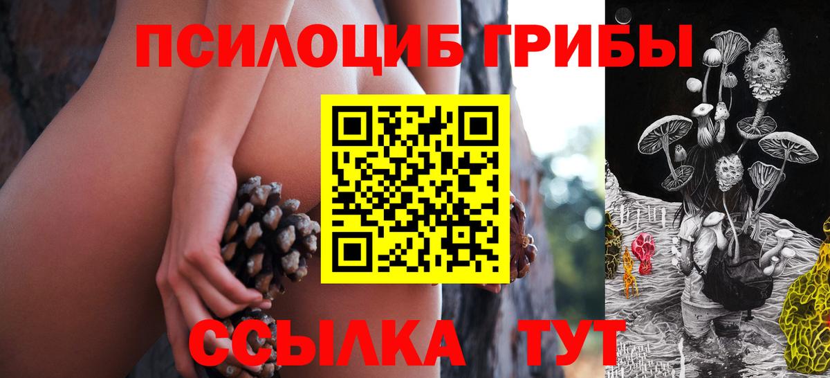 Галлюциногенные грибы ЛСД  Псилоцибиновые грибы Psilocybe  Омск  Вход с VPN 